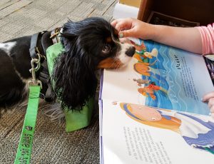 Read more about the article PAWS For Reading
